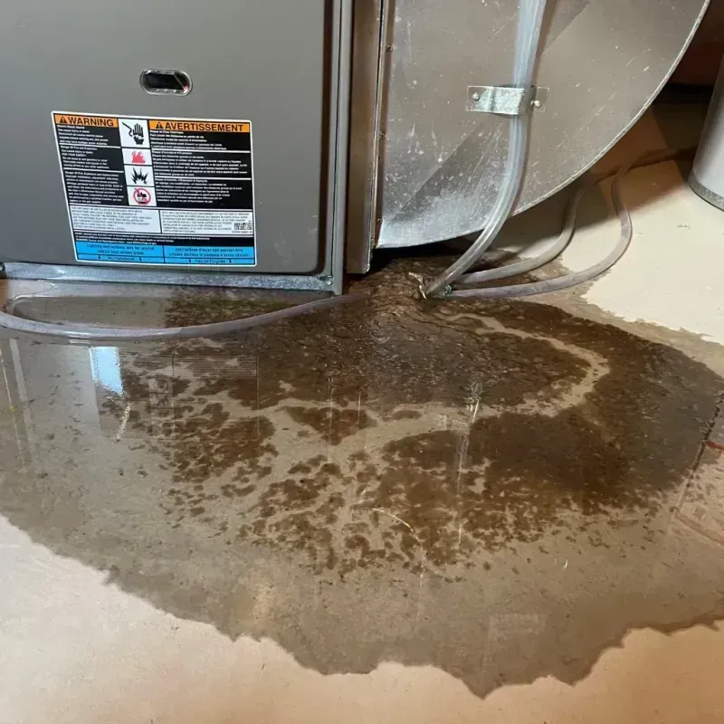 Appliance Leak Cleanup in Macomb County, MI